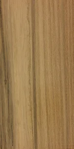 Afata