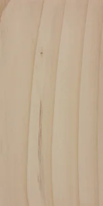 Испанская пихта