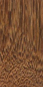 Куропатковое дерево (Partridgewood)