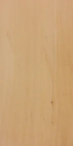 Техокоте